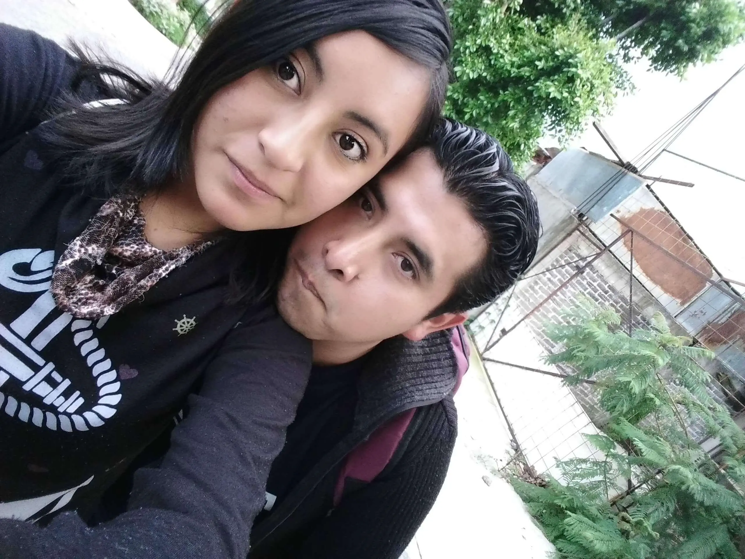 Llegando a Casa