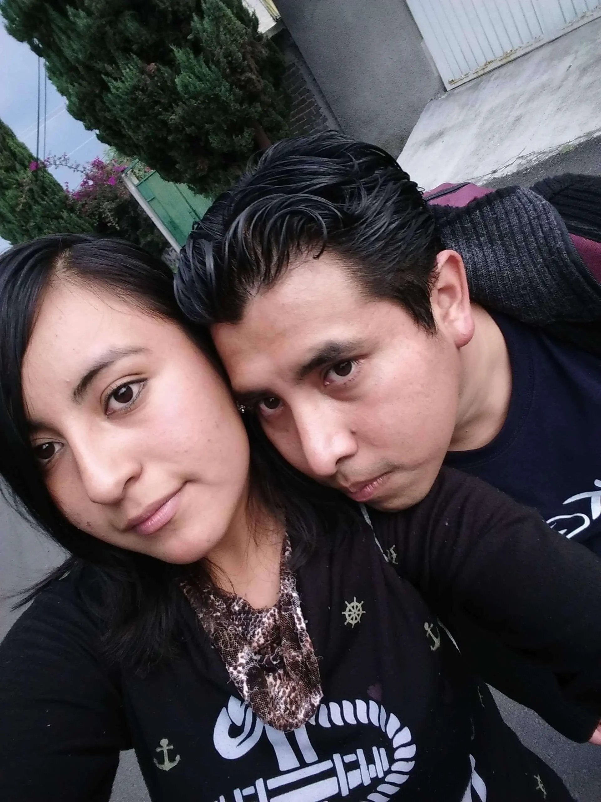 Llegando a Casa